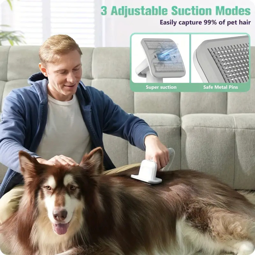 Pawsitive Paradise™️ - Ultimate Pet Grooming & Vacuum Kit
