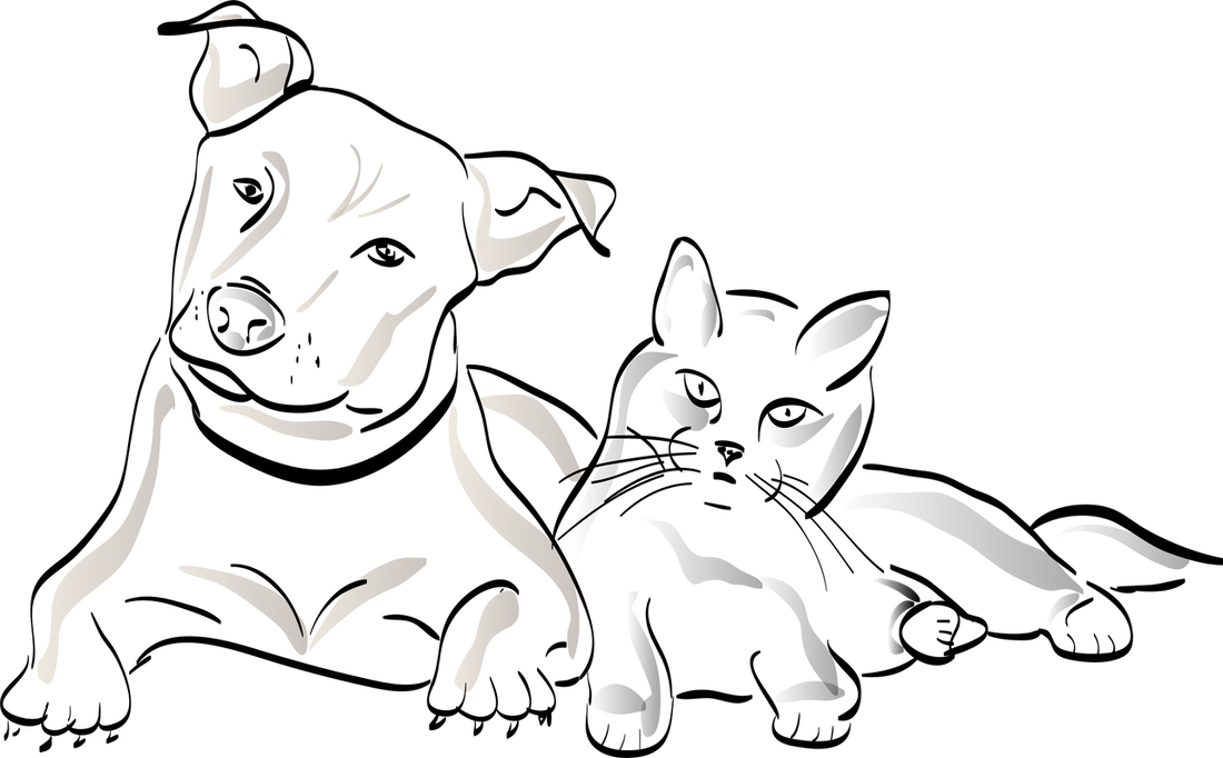 Pet Owner’s Guide: Airline-Approved Carriers for Stress-Free Flights