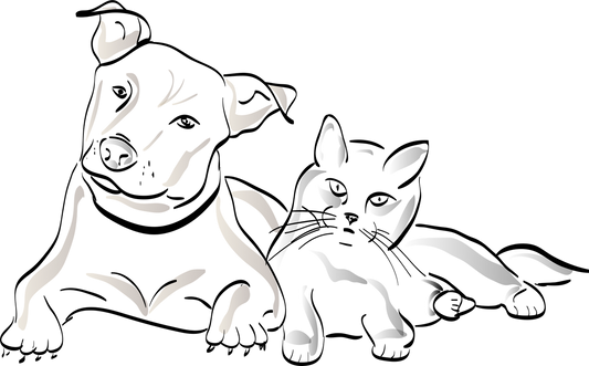 Pet Owner’s Guide: Airline-Approved Carriers for Stress-Free Flights