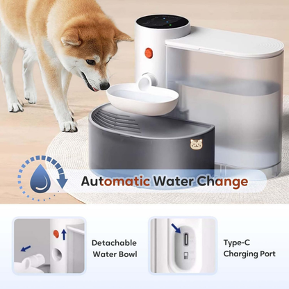 Pawsitive Paradise™️ - Pet Water Fountain with Smart Alerts