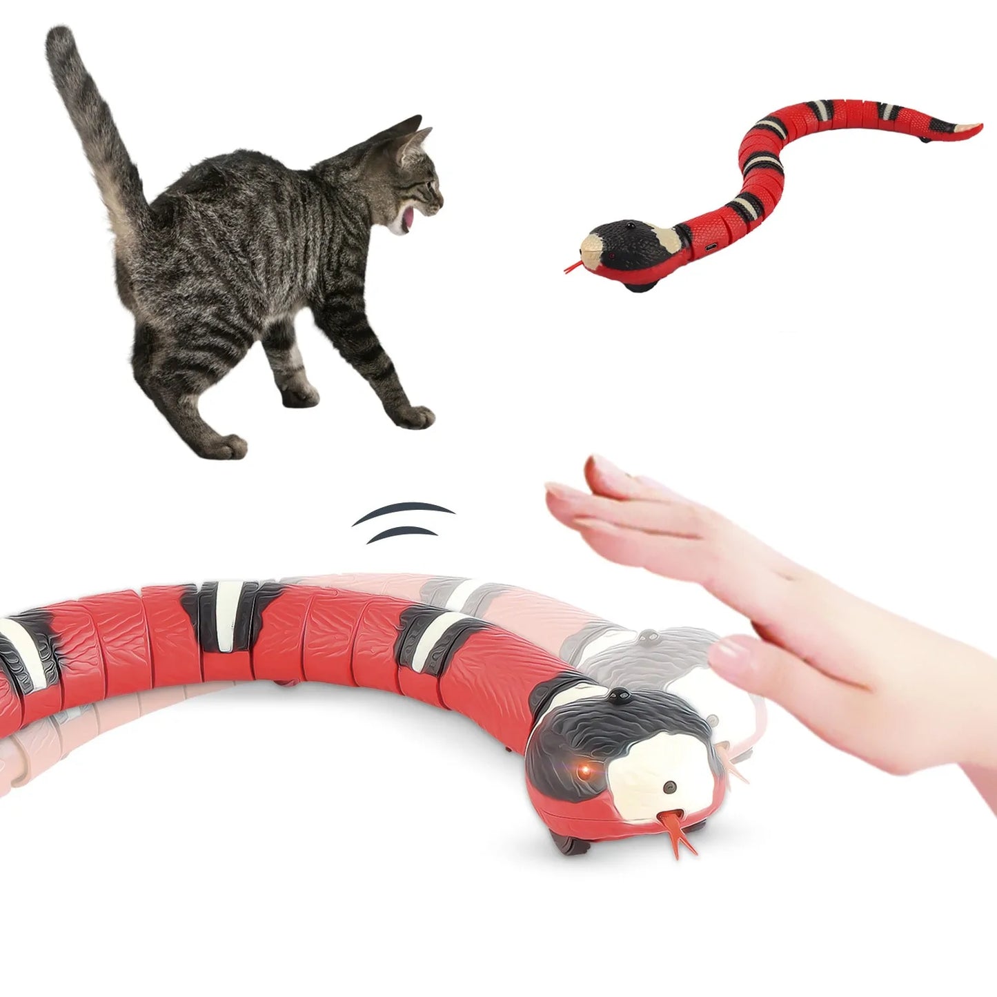 Pawsitive Paradise - Smart Interactive Cat Toy