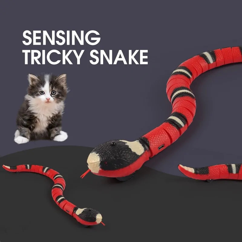 Pawsitive Paradise - Smart Interactive Cat Toy
