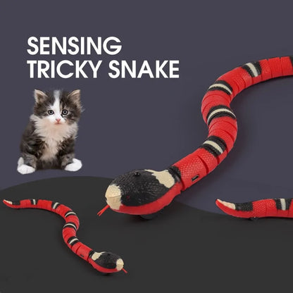 Pawsitive Paradise - Smart Interactive Cat Toy