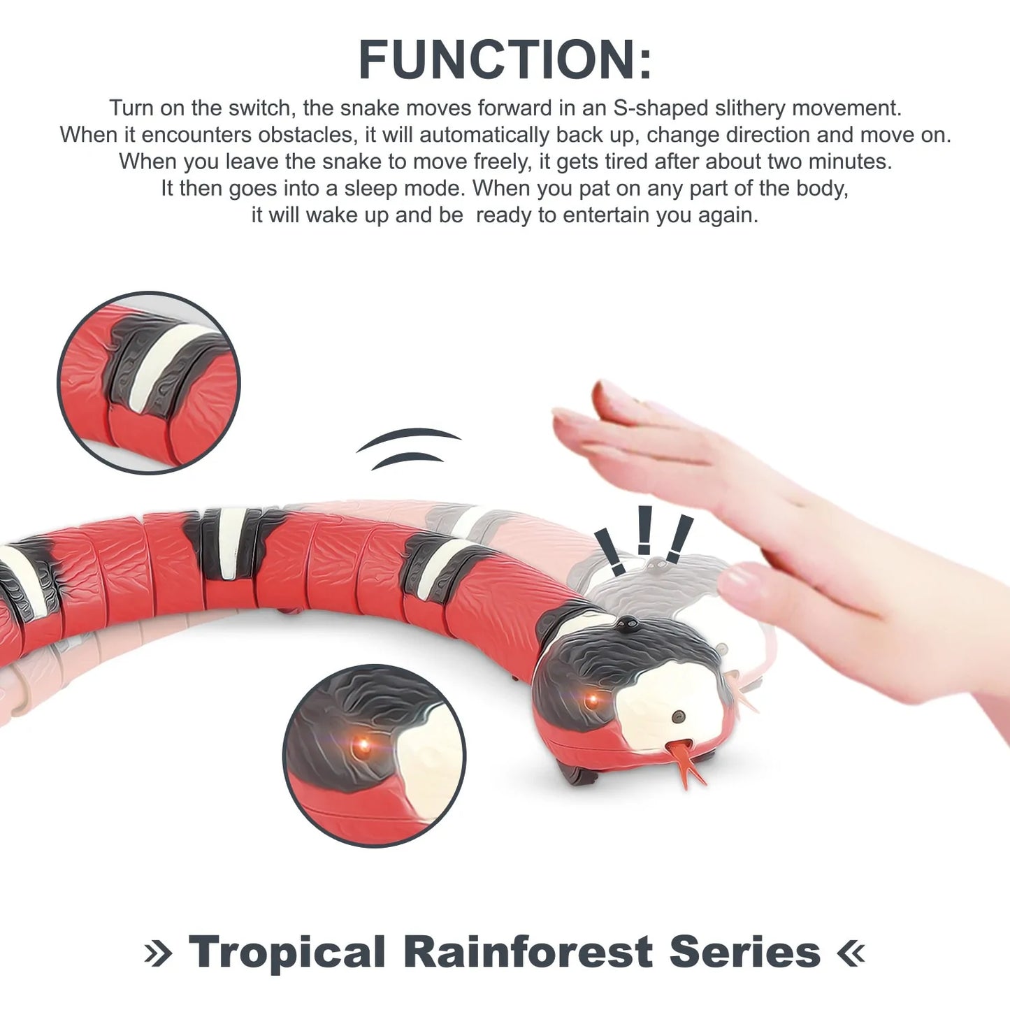Pawsitive Paradise - Smart Interactive Cat Toy