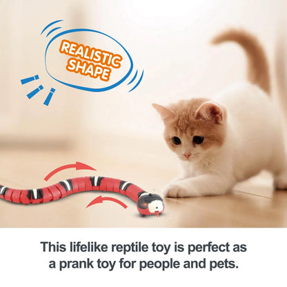 Pawsitive Paradise - Smart Interactive Cat Toy