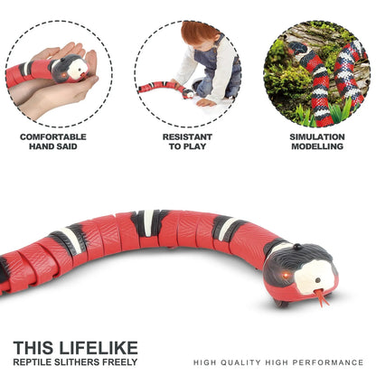 Pawsitive Paradise - Smart Interactive Cat Toy